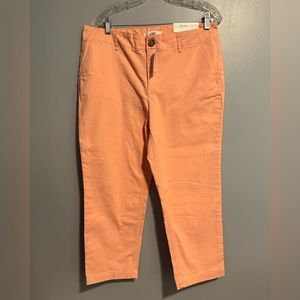 🌺LOFT Petite Monroe Slim Chino Pants 🌺